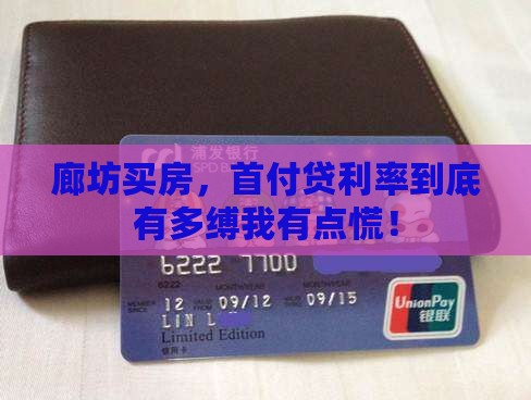 廊坊买房，首付贷利率到底有多缚我有点慌！
