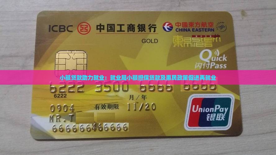 小额贷款助力就业：就业局小额担保贷款及惠民政策促进再就业