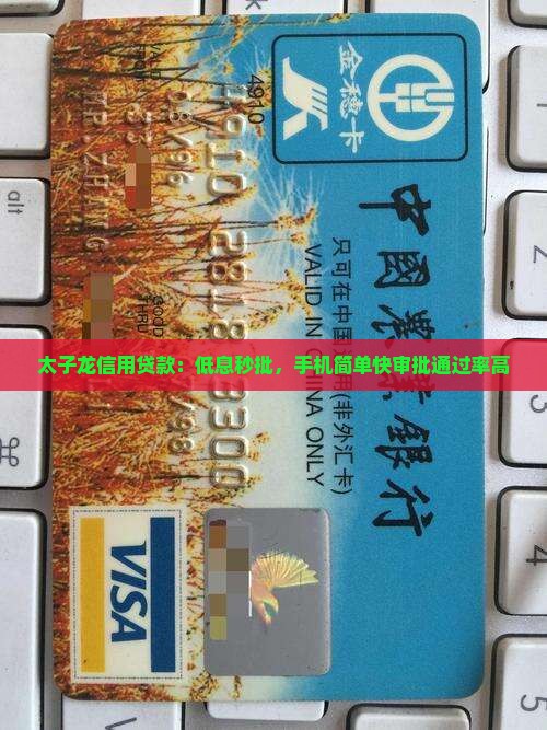 太子龙信用贷款：低息秒批，手机简单快审批通过率高
