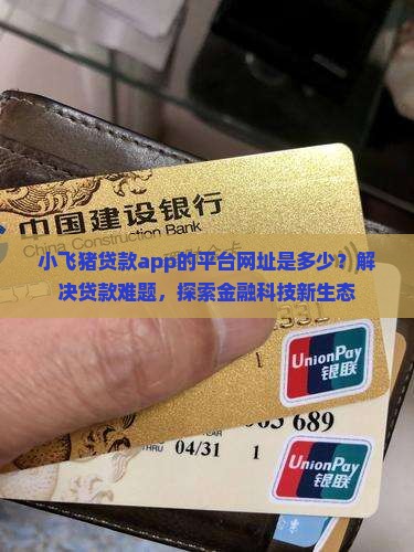 小飞猪贷款app的平台网址是多少？解决贷款难题，探索金融科技新生态