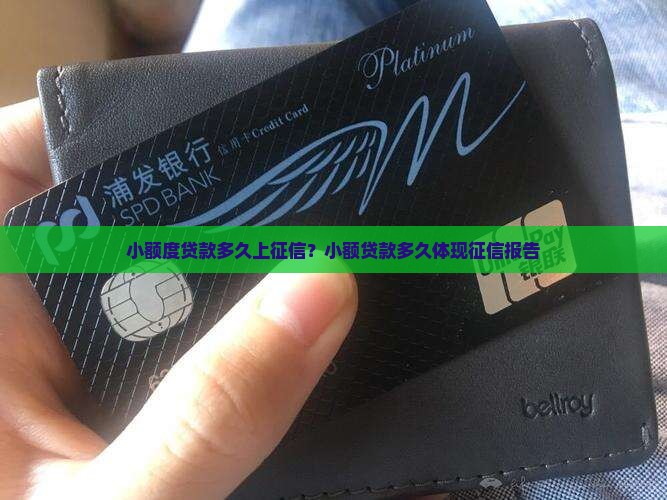 小额度贷款多久上征信？小额贷款多久体现征信报告