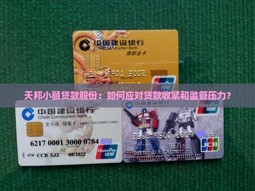天邦小额贷款股份：如何应对贷款收紧和监管压力？