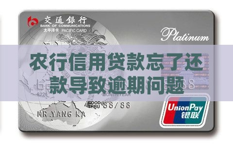 农行信用贷款忘了还款导致逾期问题