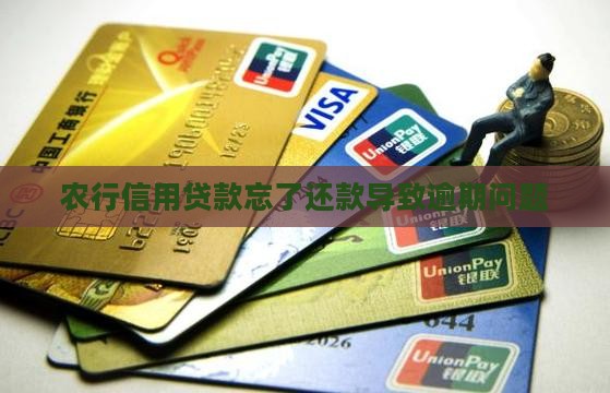 农行信用贷款忘了还款导致逾期问题