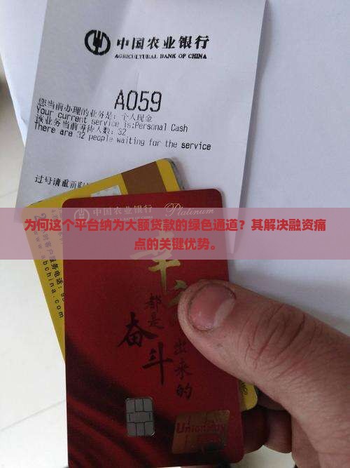 为何这个平台纳为大额贷款的绿色通道？其解决融资痛点的关键优势。