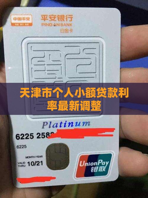 天津市个人小额贷款利率最新调整