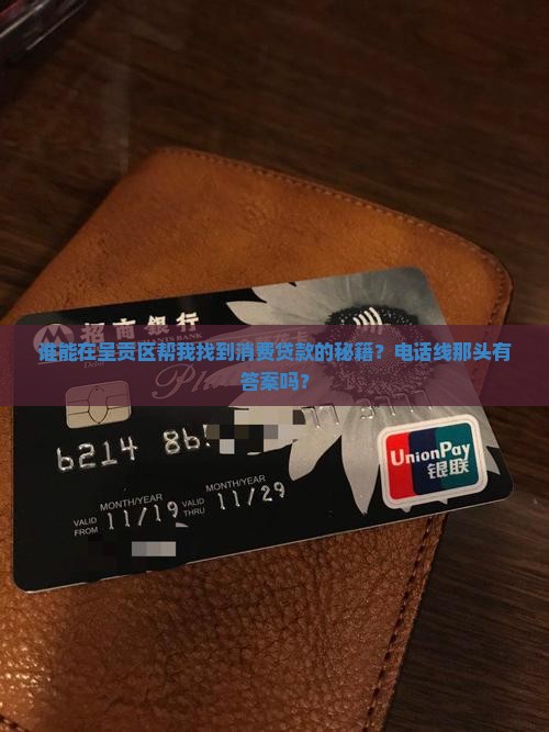 谁能在呈贡区帮我找到消费贷款的秘籍？电话线那头有答案吗？