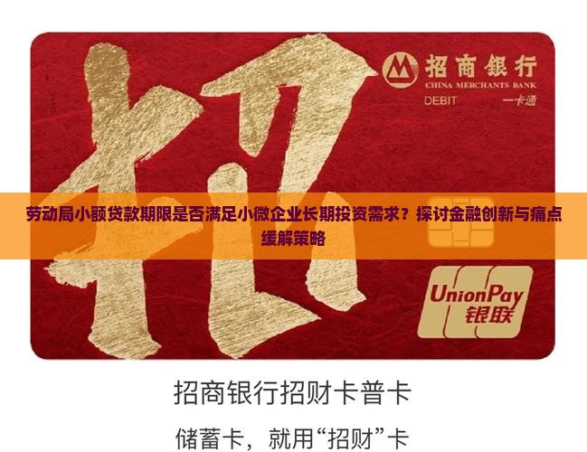 劳动局小额贷款期限是否满足小微企业长期投资需求？探讨金融创新与痛点缓解策略