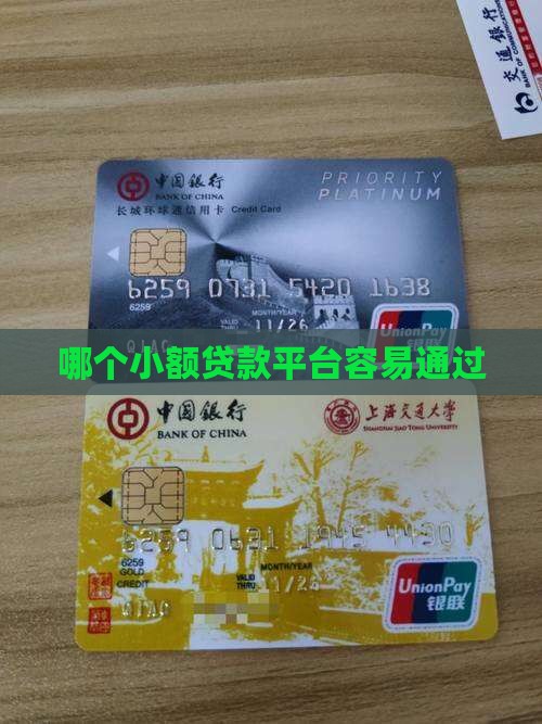 哪个容易通过小额贷款吗