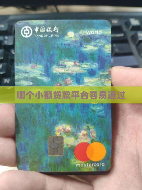 哪个容易通过小额贷款吗