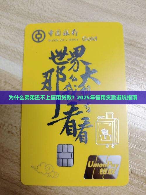 弟弟还不上信用贷款