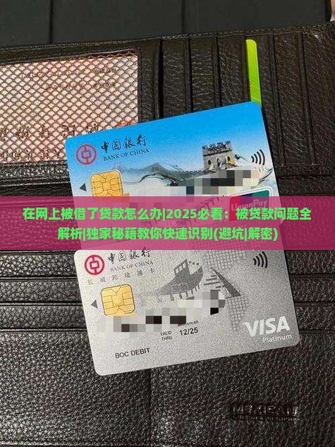 在网上被借了贷款怎么办
