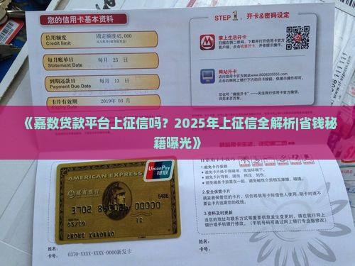 嘉数贷款平台上征信吗