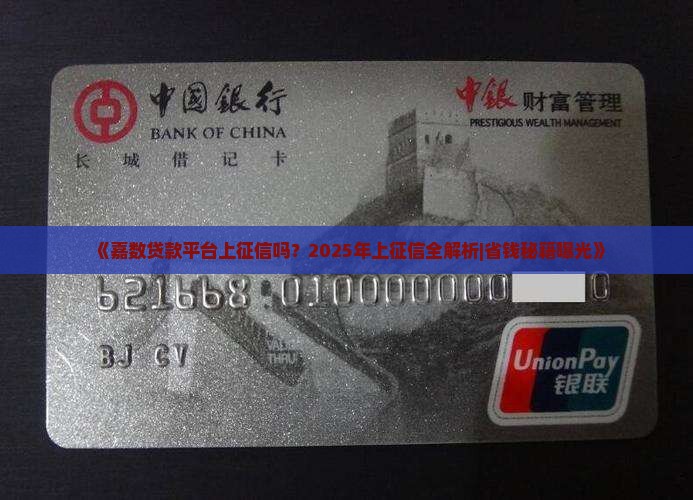 嘉数贷款平台上征信吗