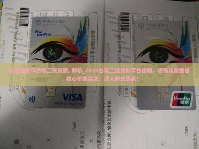 哪些金融平台做二抵贷款