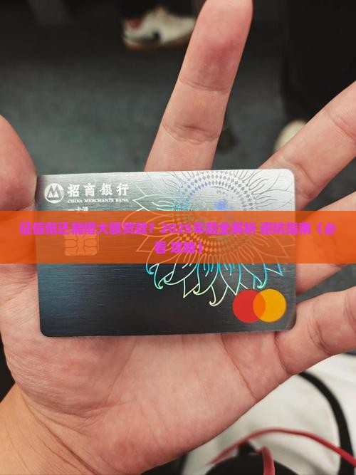 征信低大额贷款怎么办
