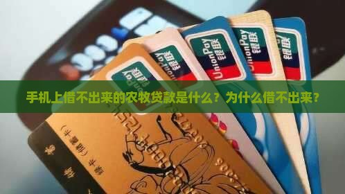 农牧贷款手机上怎么借不出来 农牧贷款手机上怎么借不出来