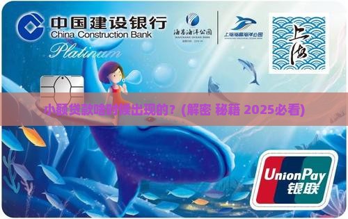 哪一年有的小额贷款