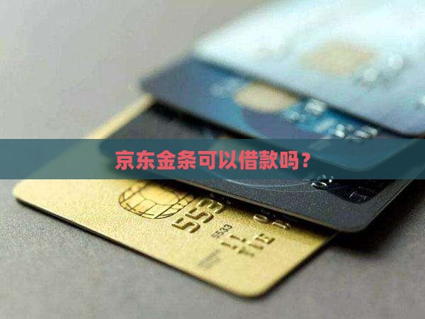 可以用京东金条贷款吗