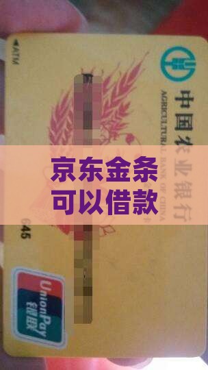 可以用京东金条贷款吗
