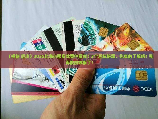 北海小额贷款案件最新