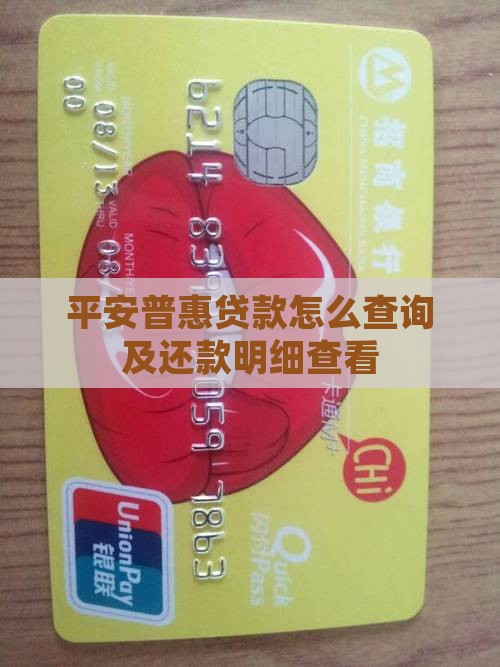 平安普惠贷款明细怎么弄