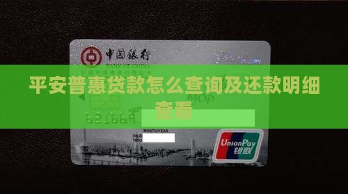 平安普惠贷款明细怎么弄