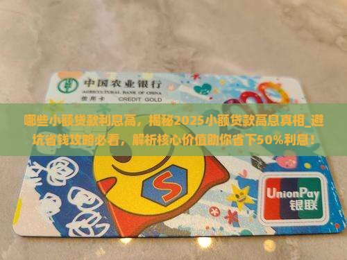 哪些小额贷款利息高