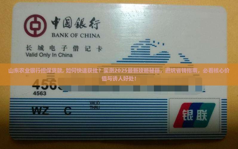 山东农业银行担保贷款