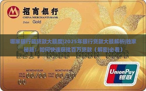 哪家银行能贷款大额度