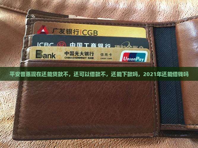 平安普惠现在还能贷款不