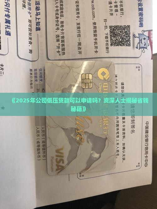 可以用公司低压贷款吗