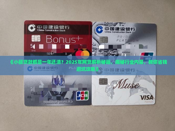小额贷款都是一年还清