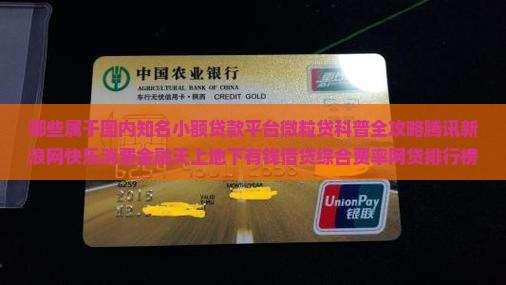 哪些是属于小额贷款平台