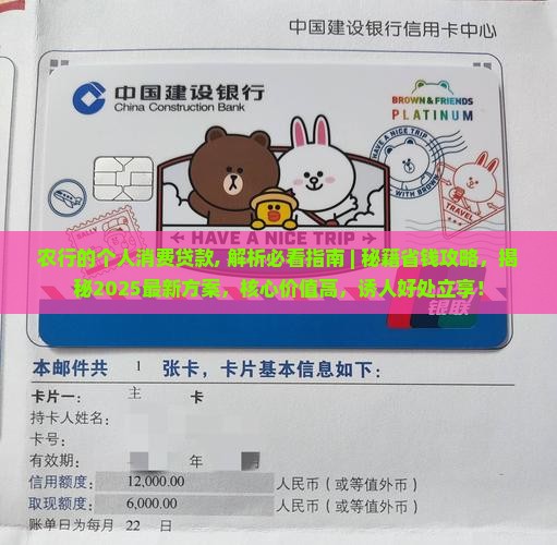 农行的个人消费贷款