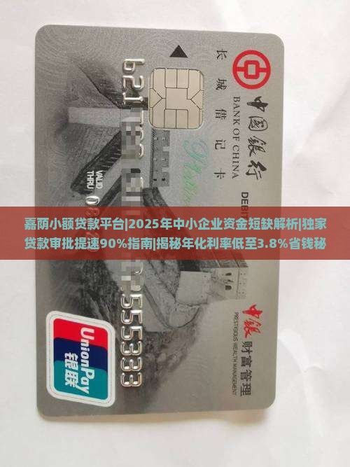 嘉荫小额贷款平台