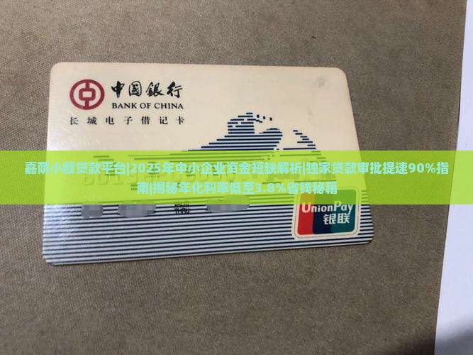 嘉荫小额贷款平台