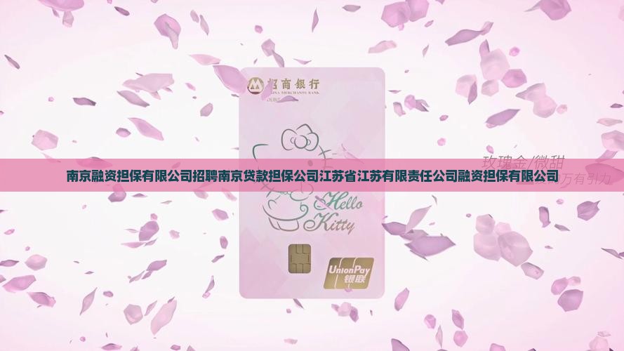 南京贷款担保公司工作