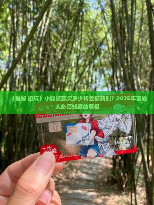 小额贷款欠多少会被判刑