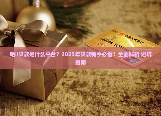 哈啰贷款是什么平台