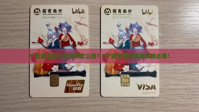 广西是金玉堂小额贷款