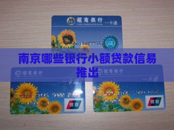 南京哪些银行小额贷款