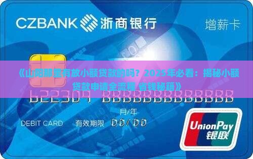 山阳那里有放小额贷款的吗
