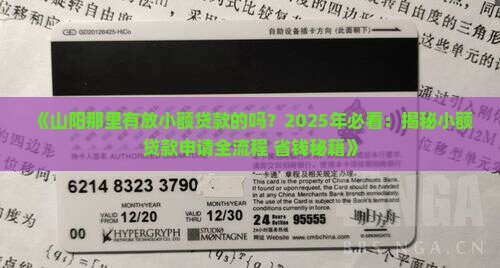 山阳那里有放小额贷款的吗
