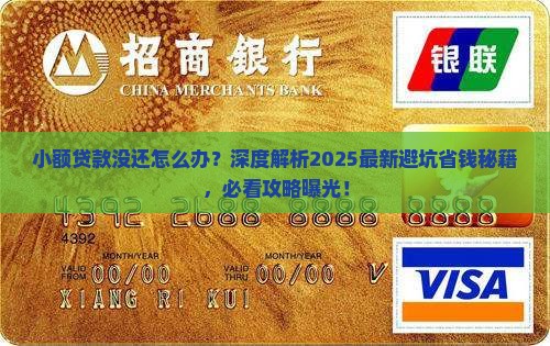 小额贷款没还怎么办