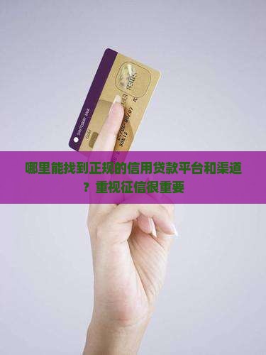 哪里找信用贷款