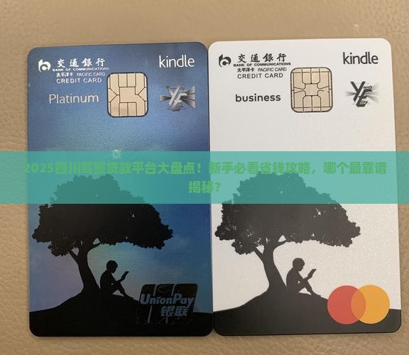 四川驾照贷款平台有哪些