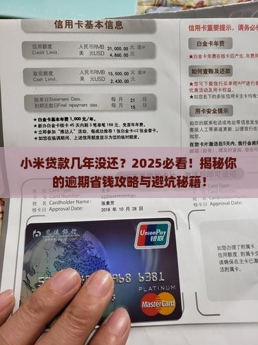 小米贷款几年没还