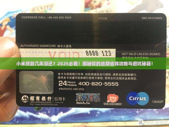 小米贷款几年没还