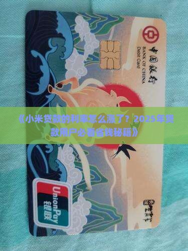 小米贷款的利率怎么涨了